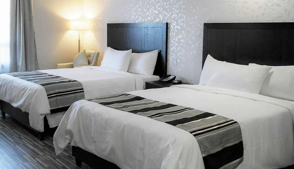 Stars Inn Leduc Hotel